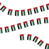 UAE Flag Strings